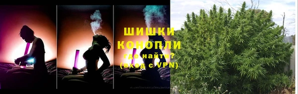 соль ск Волосово