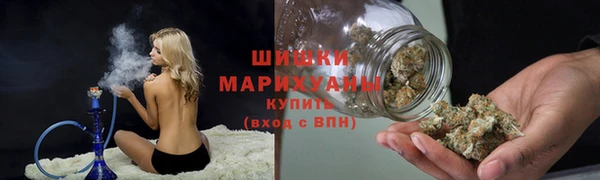 соль ск Волосово