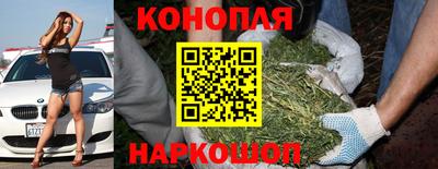 прущая мука Донской