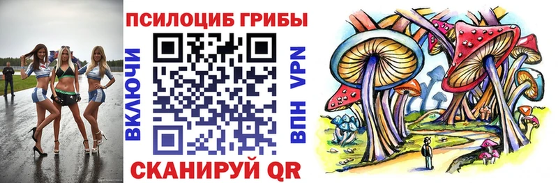 МЕГА маркетплейс  нарко площадка какой сайт  Псилоцибиновые грибы мухоморы  Назарово 