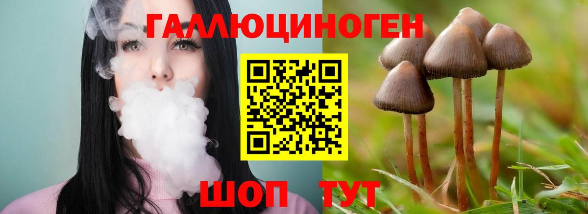 наркошоп  Галлюциногенные грибы MAGIC MUSHROOMS  Галлюциногенные грибы Magic Shrooms  Вход с VPN  Назарово 